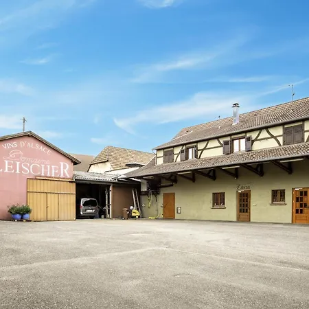 Route Des Vins D'alsace, Domaine Viticole 'pinot Gris' * Pfaffenheim