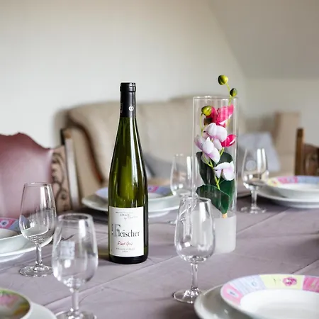 Apartamento Route Des Vins D'alsace, Domaine Viticole 'pinot Gris' Pfaffenheim