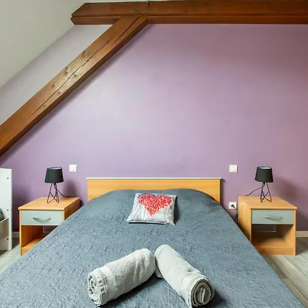 Route Des Vins D'alsace, Domaine Viticole 'pinot Gris' Apartamento