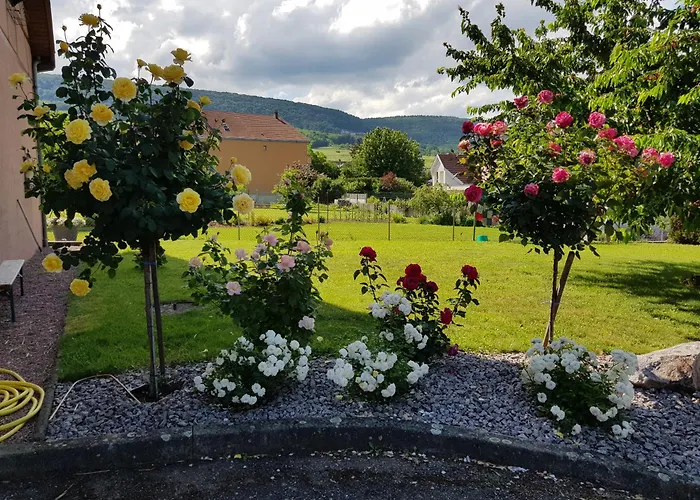 Route Des Vins D'alsace, Domaine Viticole 'pinot Gris' Appartement *