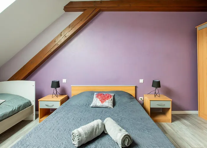 Route Des Vins D'alsace, Domaine Viticole 'pinot Gris' Appartement